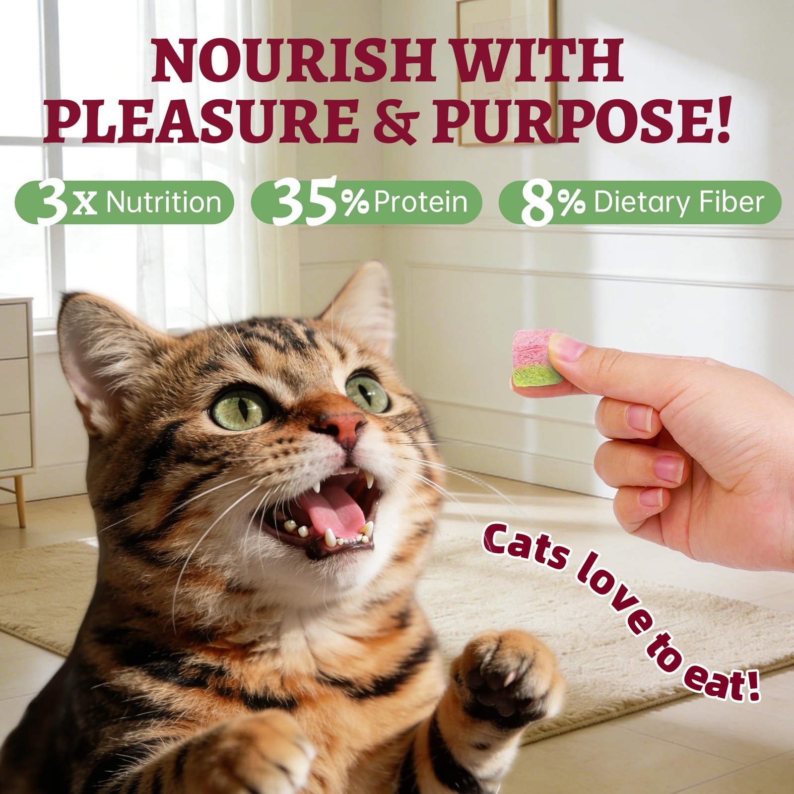 3.52 oz Freeze Dried Cat Treats for Indoor Cats High Protein Training Treats …
