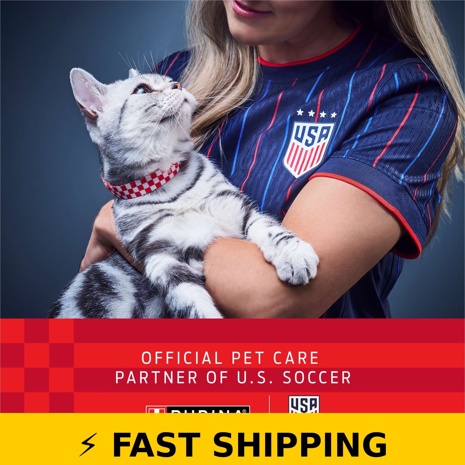 Purina Kit & Kaboodle Original Cat Food, 30 lb Bag
