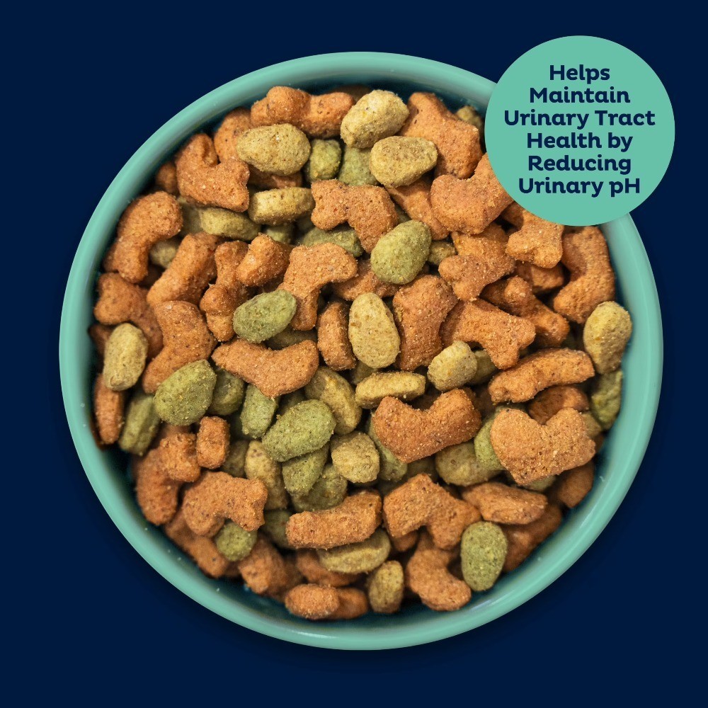 Dry Cat Food for Urinary Tract Health 15.5 lb Bag Premium Care Formula