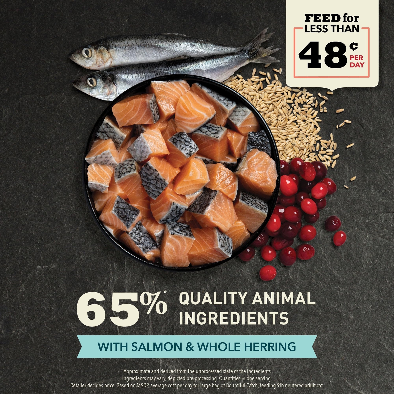 ACANA Bountiful Catch Salmon Whole Herring Dry Cat Food 10 lb High Protein