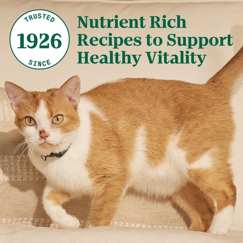 5 lbs Senior Cat Food Chicken Brown Rice Recipe Dry Kibble Healthy Digestion US