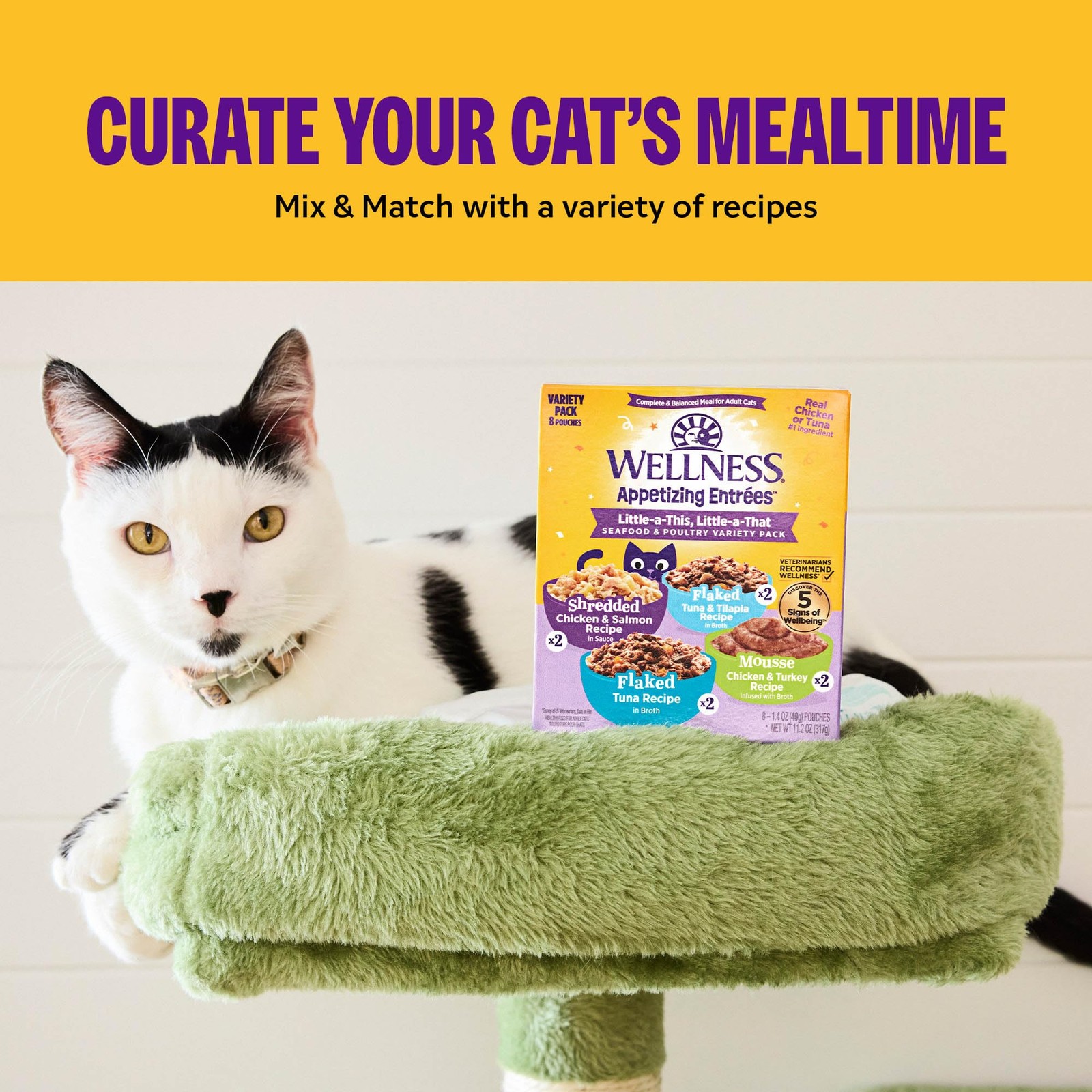 Appetizing Entrées Mousse Adult Wet Cat Food, Natural, Protein Rich, Grain , …