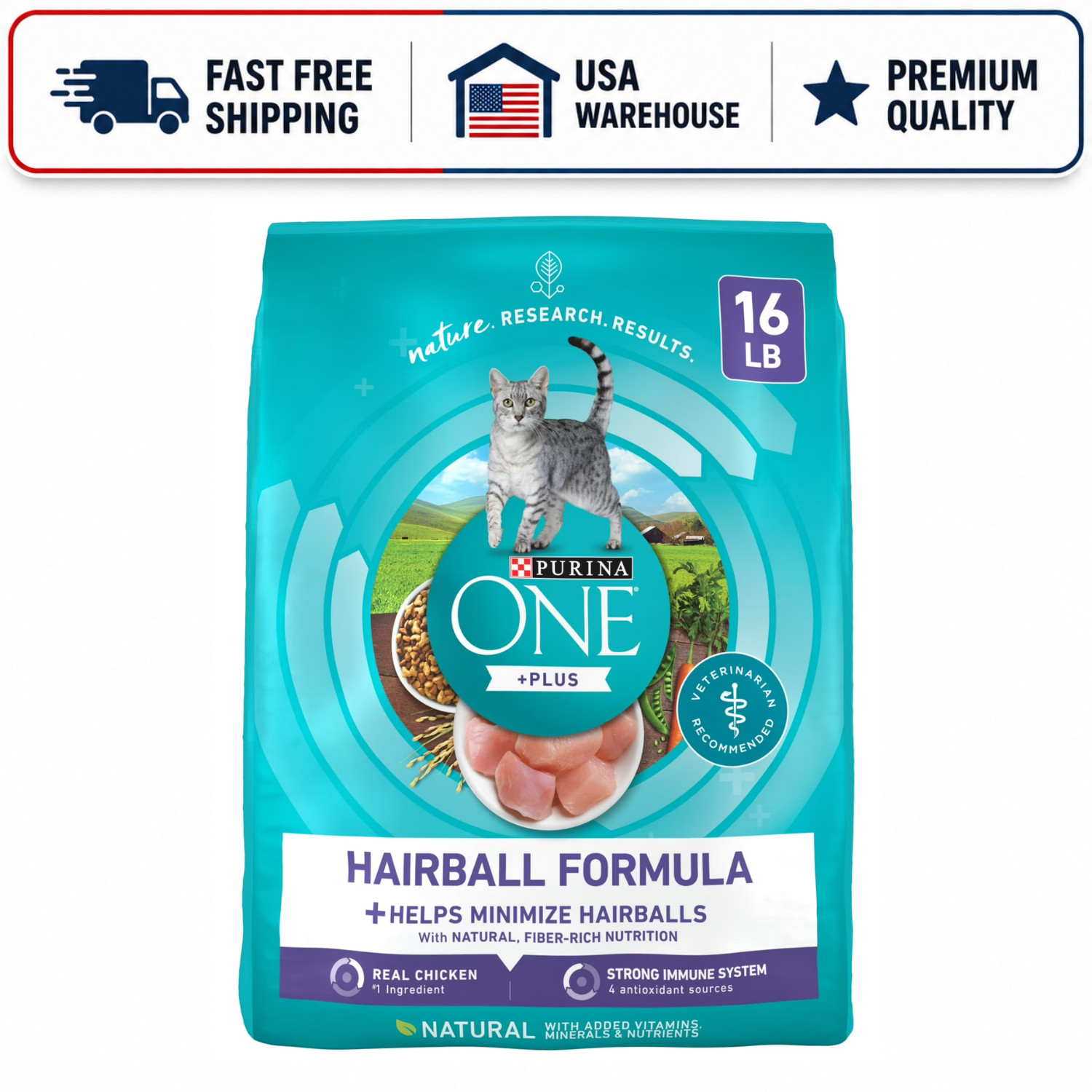 Purina ONE Plus Hairball Formula Dry Cat Food Chicken 16 lb Bag