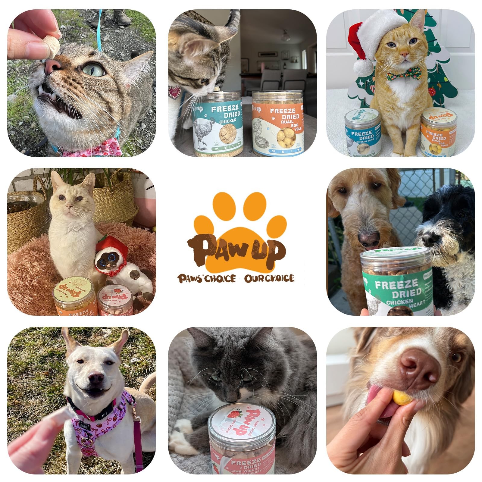 Freeze-Dried Pumpkin Treats for Dogs & Cats – High Fiber, Single Ingredient N…