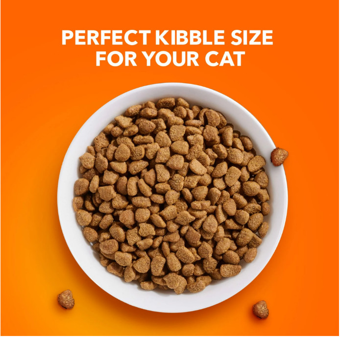 Iams Proactive Health Chicken and Turkey Dry Cat Food, 22 lb