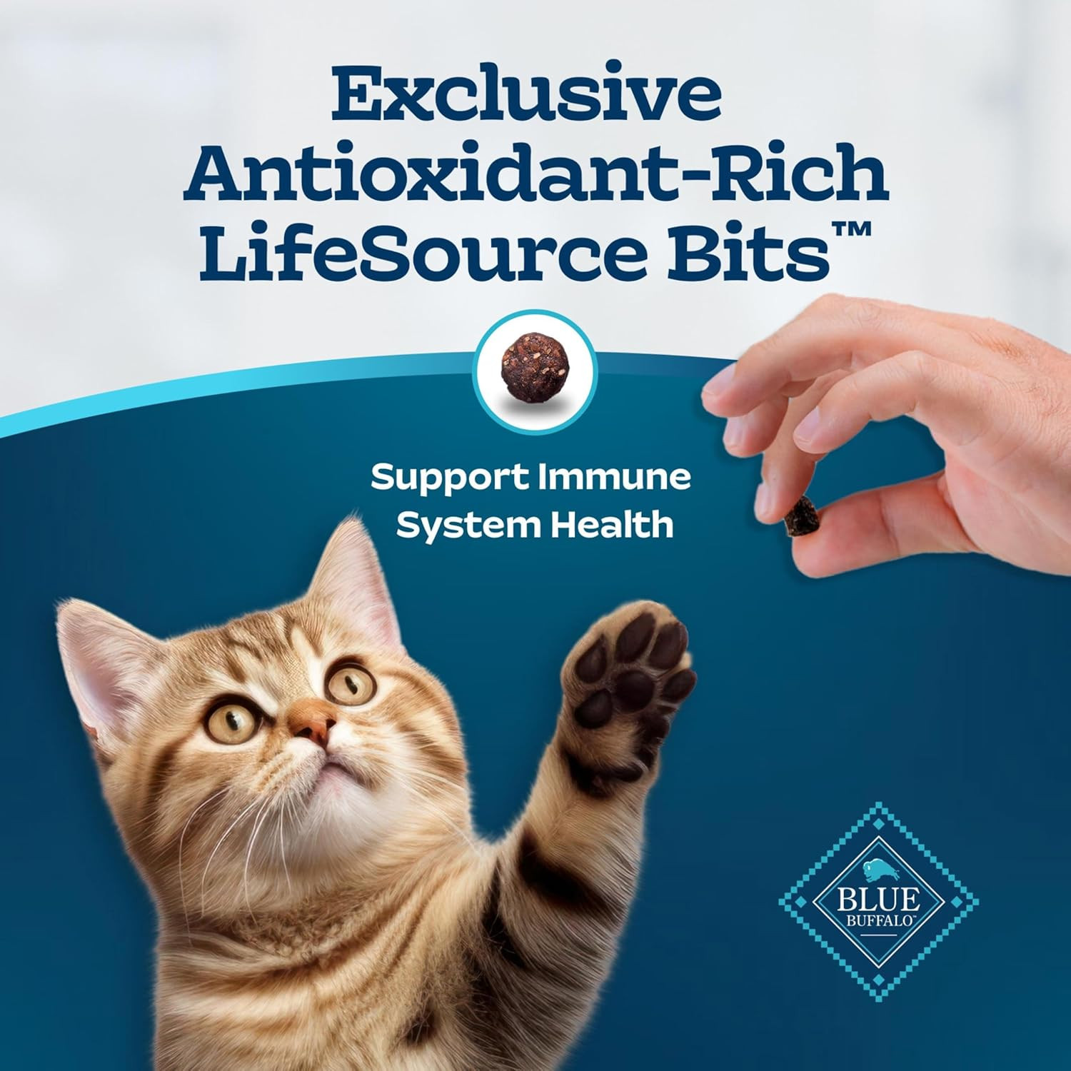 Tastefuls Kitten Food With DHA Dry Cat Food Made in the USA with Natural Ingredi