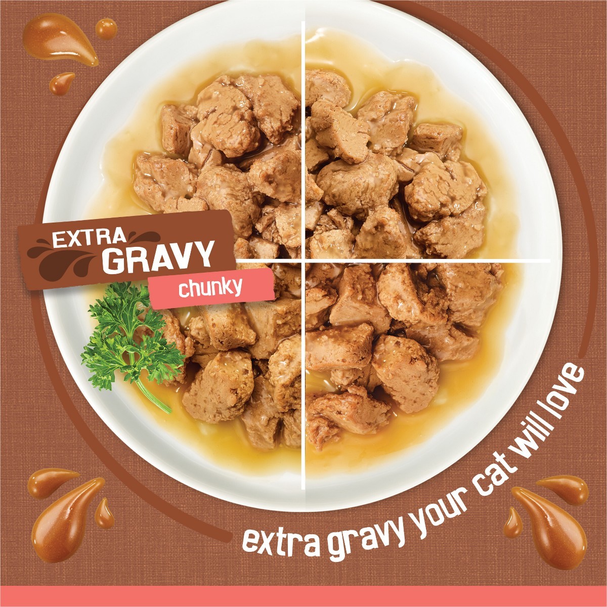 Purina Friskies Extra Gravy Chunky Chicken Cat Food – 5.5oz/24ct Variety Pack