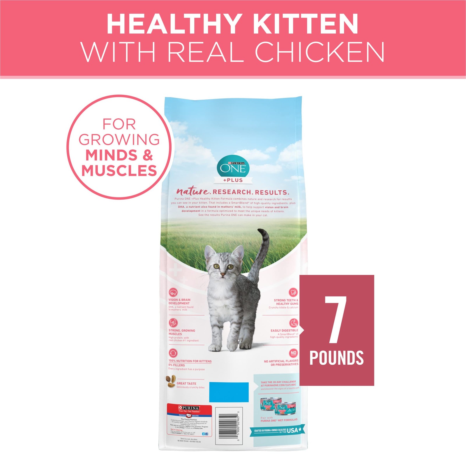 Purina ONE High Protein, Natural Dry Kitten Food, +Plus 7 Pound (Pack of 1)