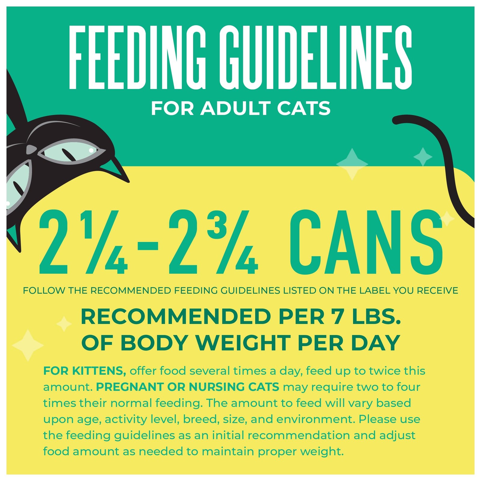 Tiki Pets Tiki Cat Wet Cat Food Mega Pack Seafood Selects 2.8 Oz Can 36 Count