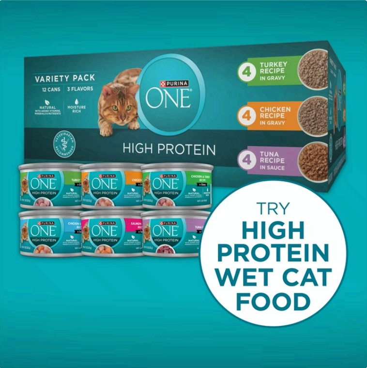 Purina ONE Natural Dry Cat Food Salmon&Ocean Whitefish Skin,Coat Health,22lb Bag