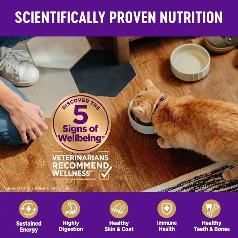 Wellness Complete Health Adult Dry Indoor Cat Food Salmon and Herring 11.5lbs