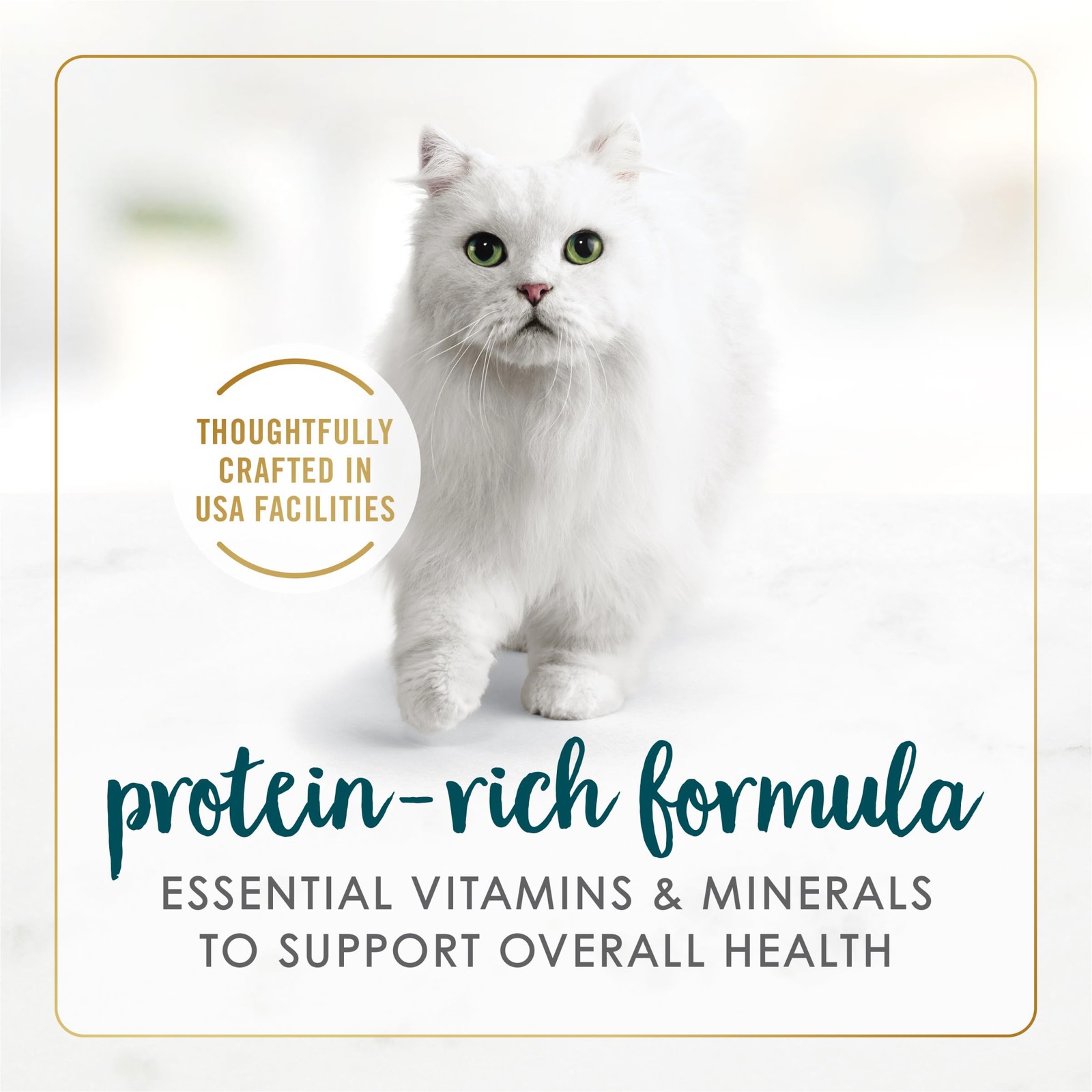 Purina Fancy Feast Salmon and Shrimp 3 Ounce (Pack of 24), &