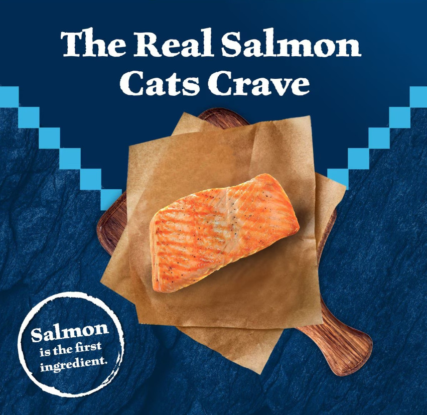 Blue Buffalo Wilderness Salmon Recipe Grain-Free Dry Cat Food, 11-lb bag