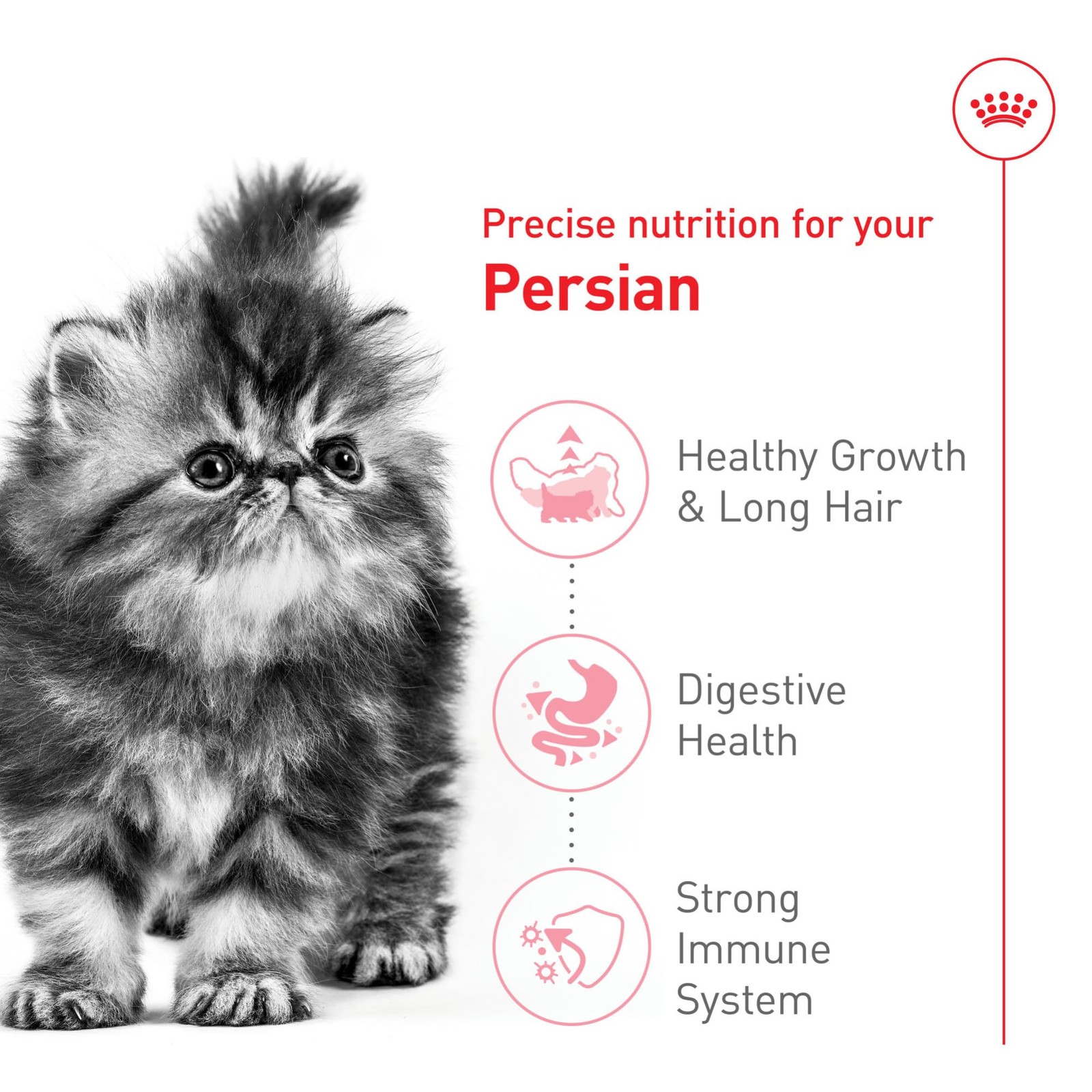 Royal Canin Feline Breed Nutrition Persian Kitten 3 Pound (Pack of 1), brown