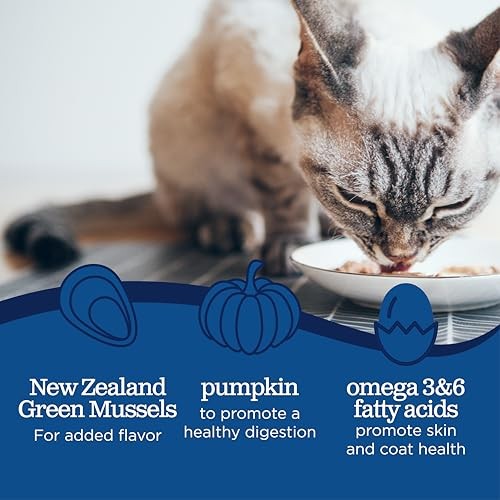 Blackwood Canned Cat Food [Grain Free Wet Cat Food for All Breeds and Life 12-Ct