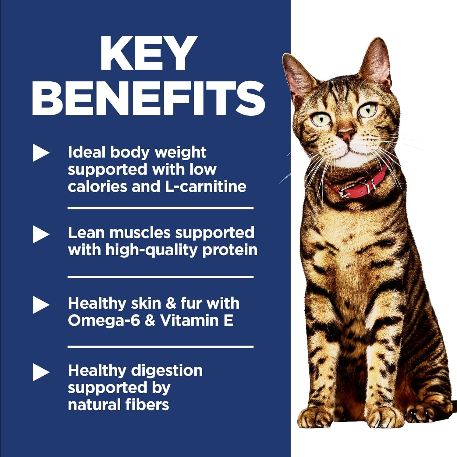 Chicken Adult 1-6 Light Dry Cat Food, 4 Pound Bag Low Calorie