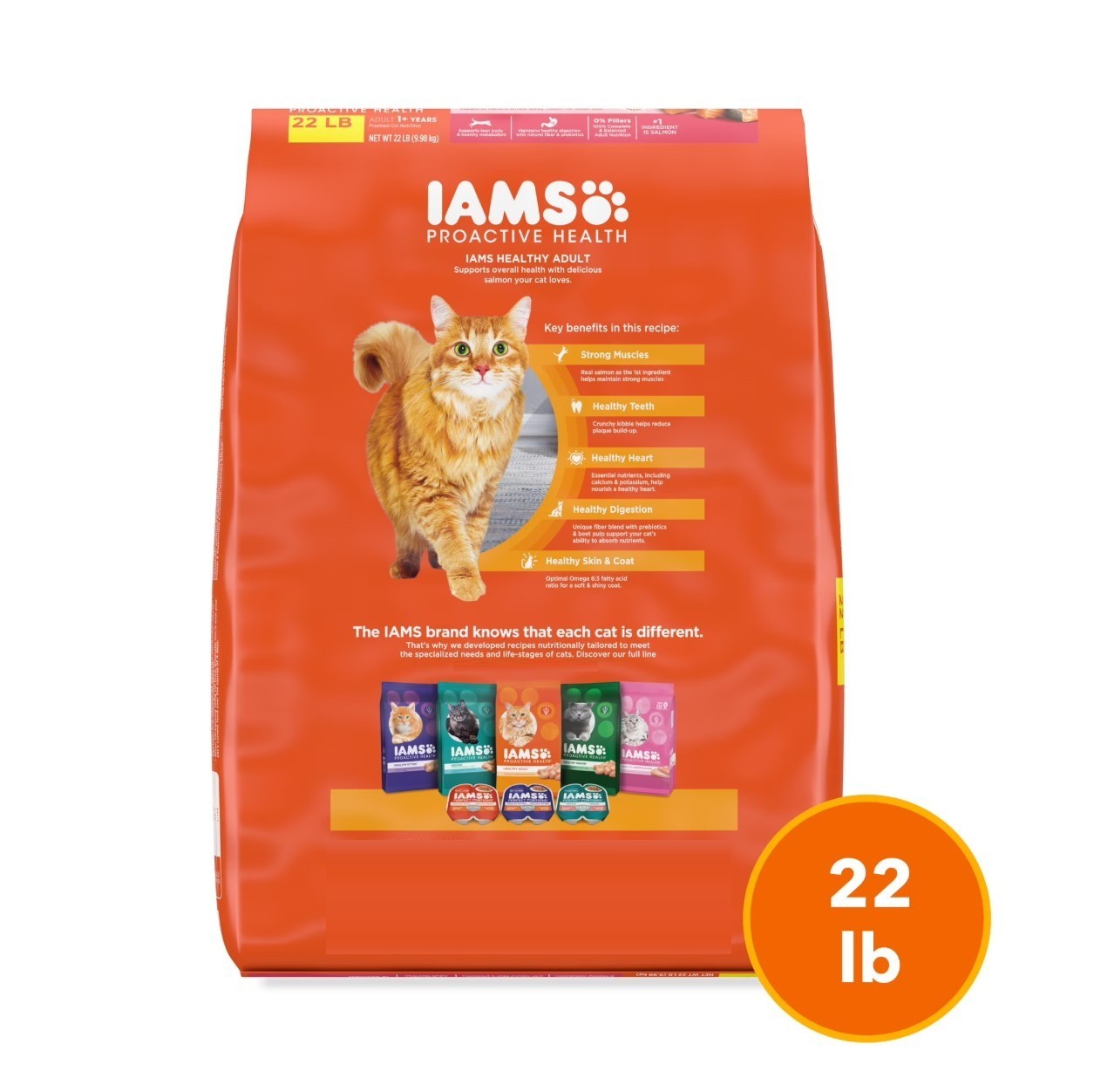 IAMS Proactive Health Adult Dry Cat Food with Real Salmon, 22 lb
