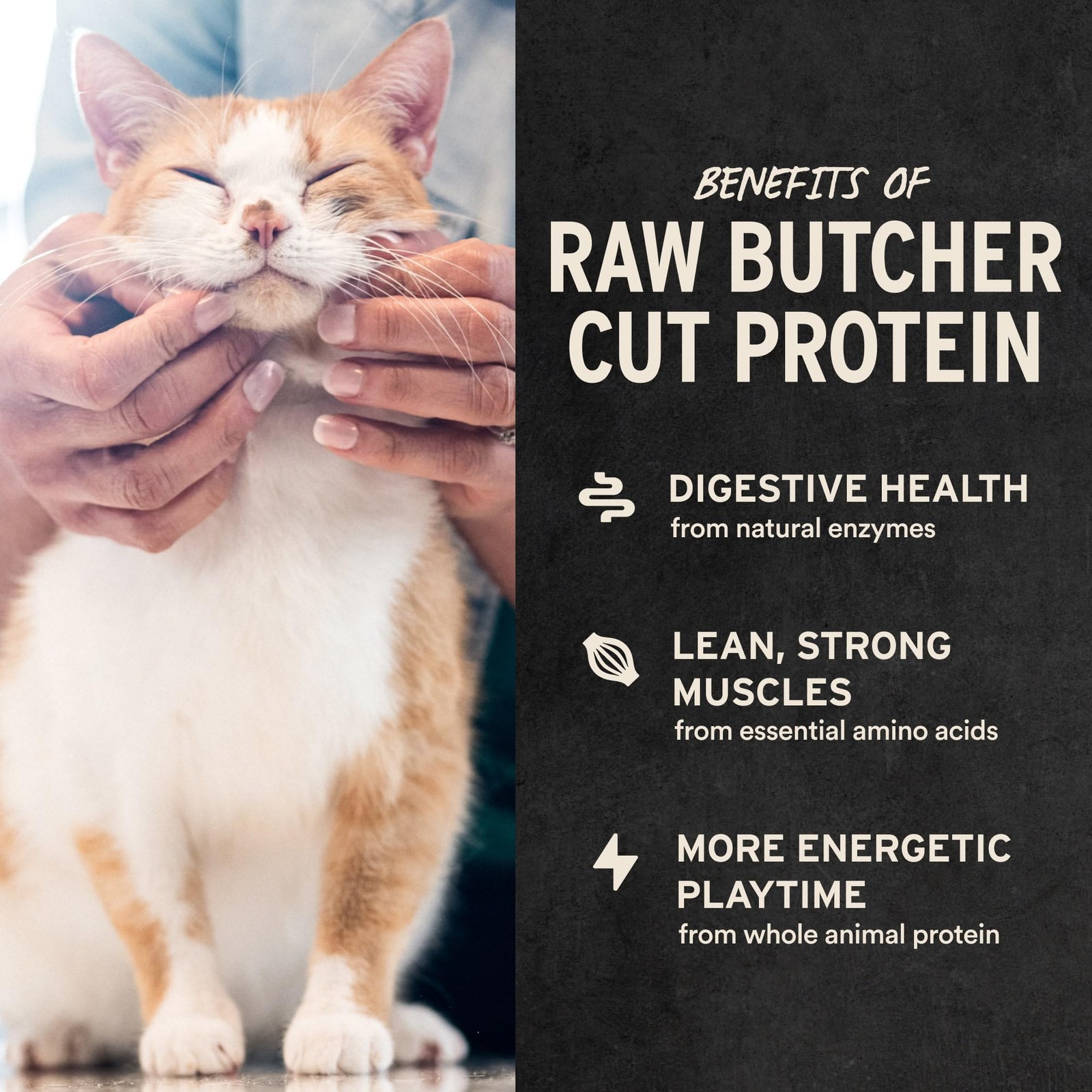 Freeze Dried Raw Chicken Hearts Cat Treats | Single Ingredient | Premium Qual…
