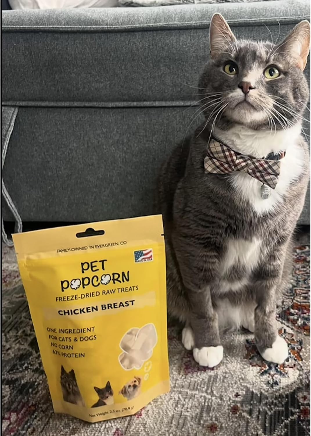 Freeze-Dried Raw Treats – Chicken Breast – 2.5oz Bag, Dog & Cat Snacks, Single