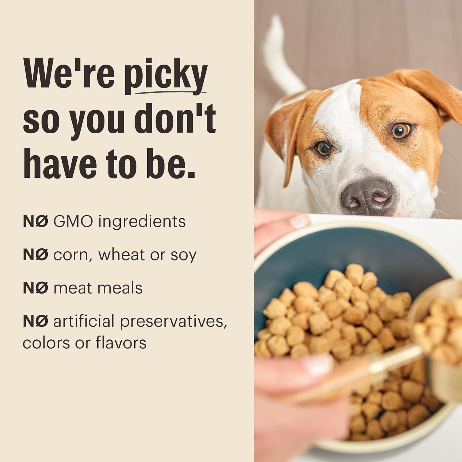 The Honest Kitchen Whole Food Clusters Small Breed Grain Free Chicken Dry Dog Fo