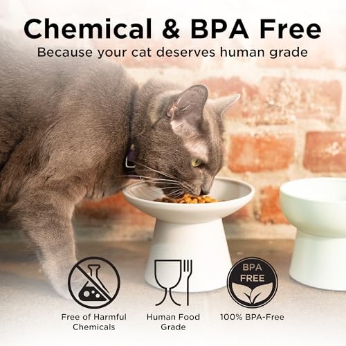 Necoichi 2pcs Extra-Wide Elevated Cat Food Bowls – BPA Gray and White (Classic)