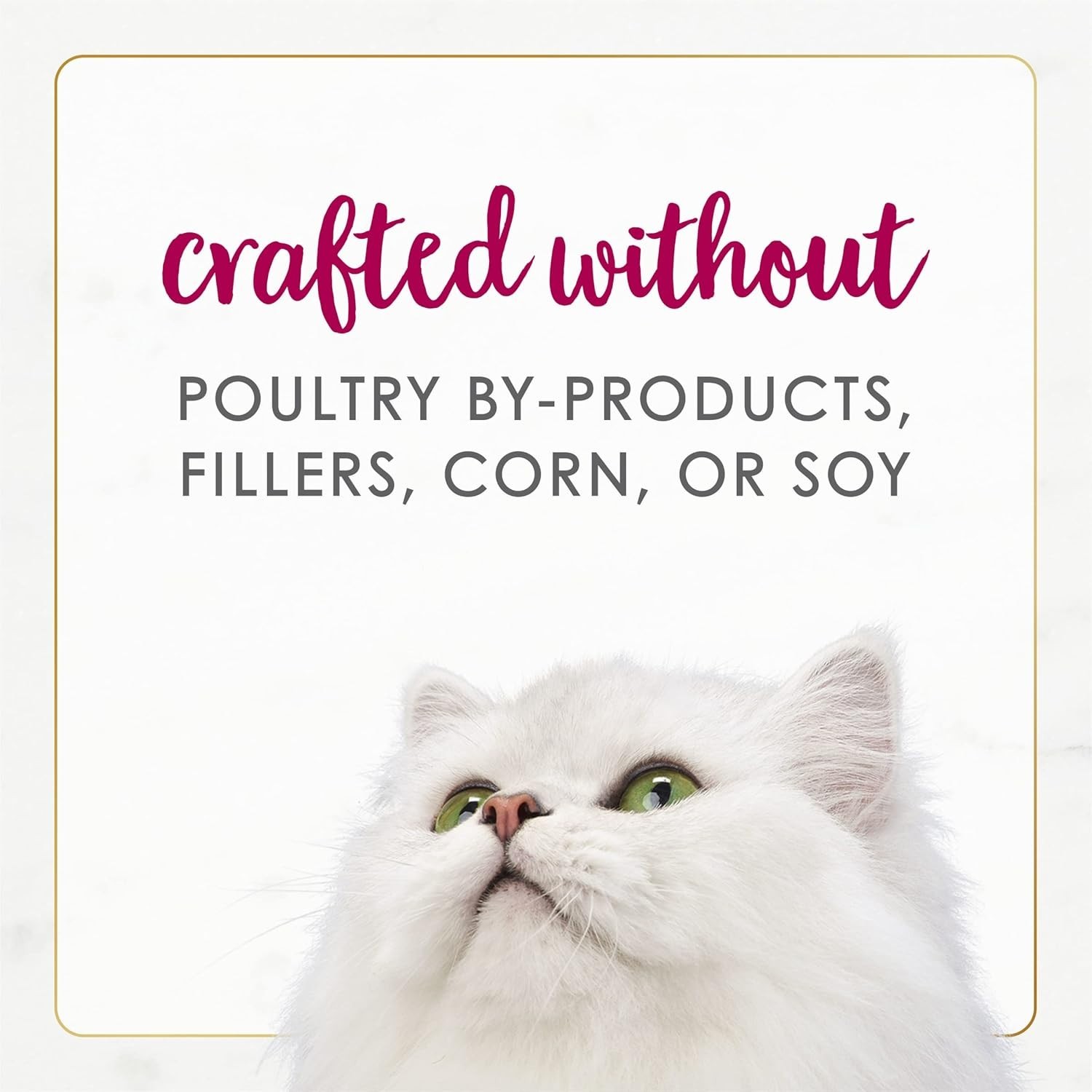 Complete Balanced Nutrition Wet Cat Food – Gourmet Chicken & Beef Gravy, 12 Cans