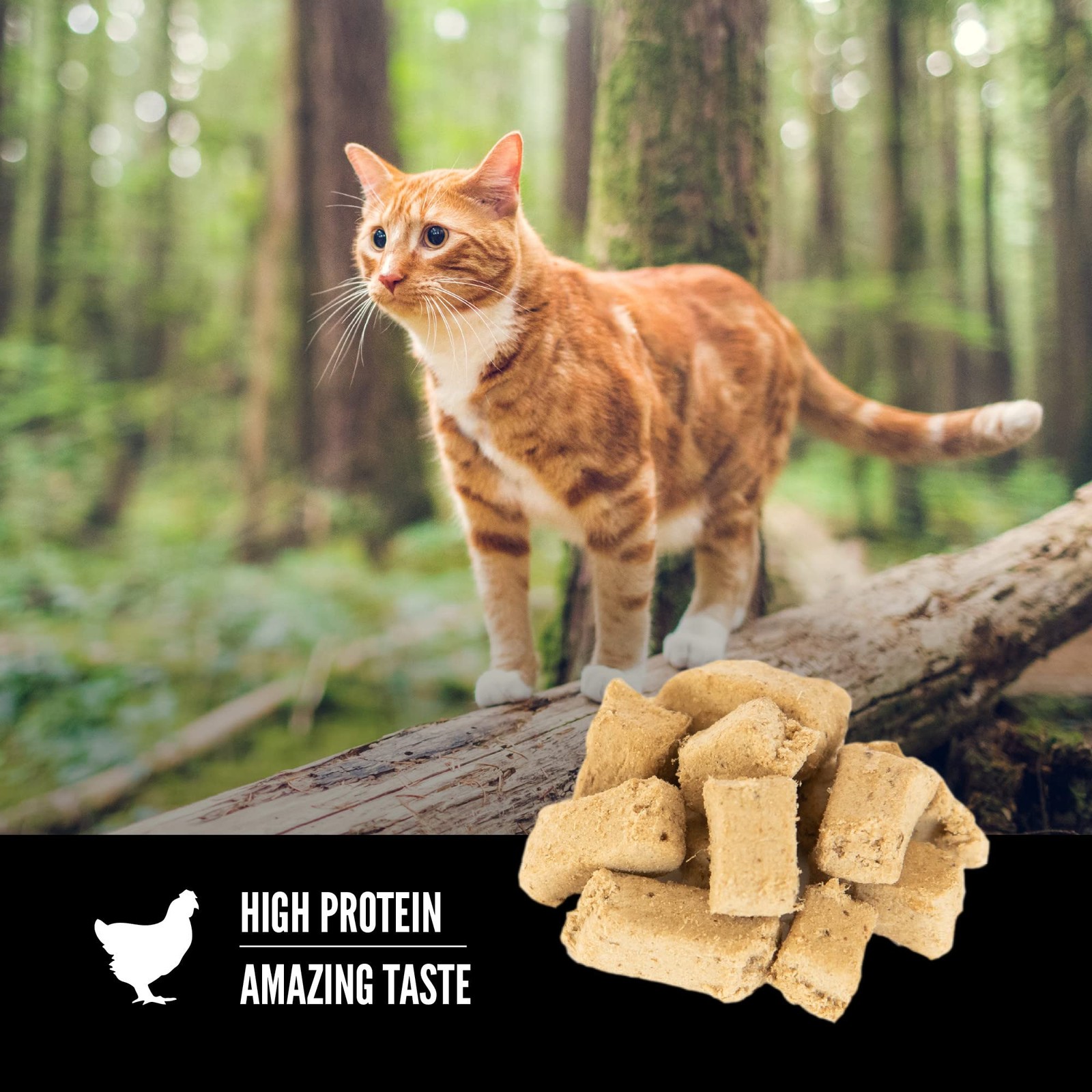 Orijen Original Freeze Dried Cat Treats Grain Free High Protein 1.25 Oz