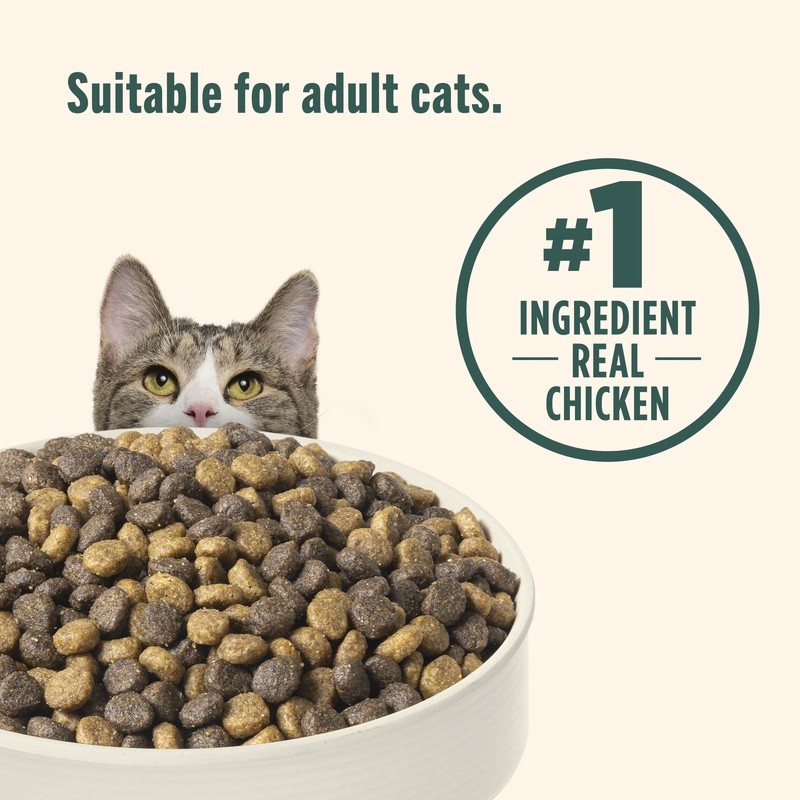 Indoor Dry Cat Food Chicken Lentils Salmon Omega-3 Holistic Nutrition 6lb New