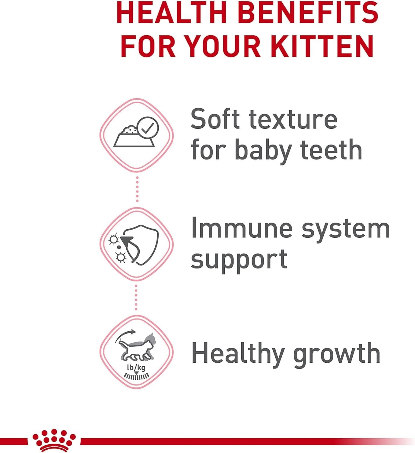 Royal Canin Kitten Up to 12 months | Thin Slices in Gravy | Cat Food, Pack of 12