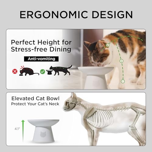 Necoichi 2pcs Extra-Wide Elevated Cat Food Bowls – BPA Gray and White (Classic)