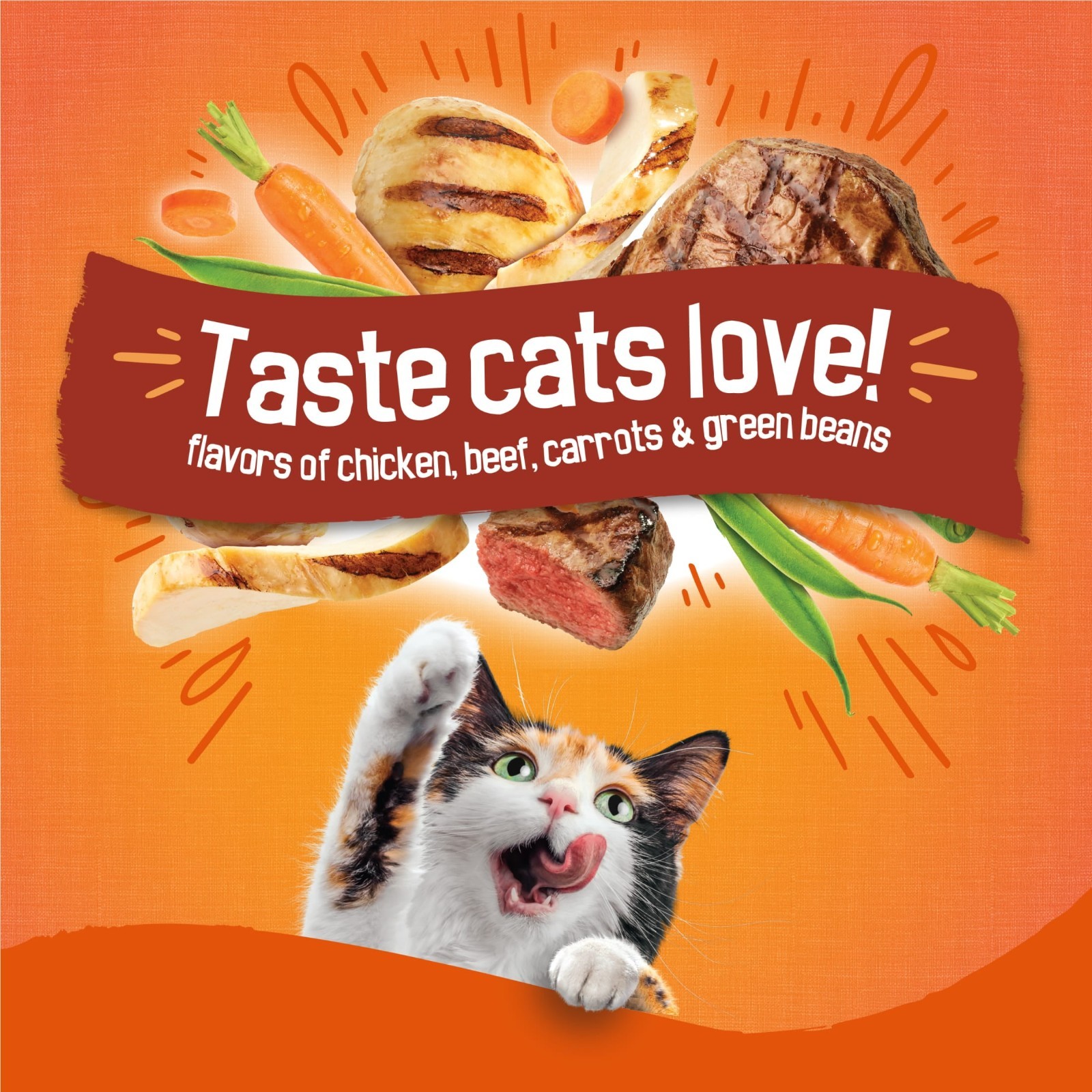 3 Pack, Purina Friskies Tender and Crunchy Dry Cat Food Flavors of Chicken,