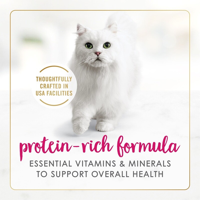 Grain Free Wet Cat Food Chicken Pate Kittens 12 Cans Protein Rich Nutrition New