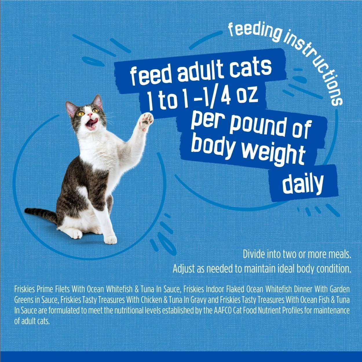 Purina Friskies Ocean Of Delight Gravy Variety Pack, Wet Cat Food, 80 can 5.5 oz