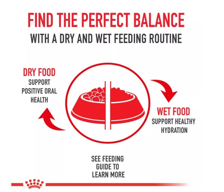 Royal Canin Feline Care Nutrition Weight Care Adult Dry Cat Food, 14 lbs.