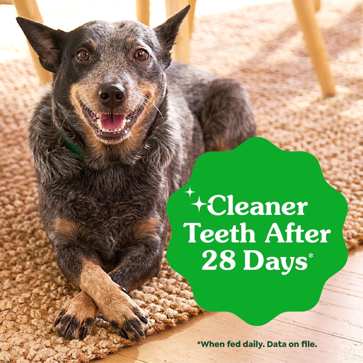 Greenies Dental Treats for Dogs, Veterinarian-Recommended Aging Care Adult Natur