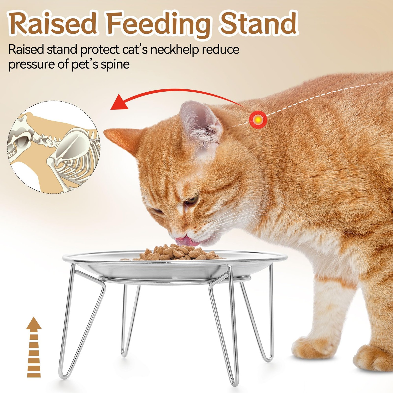Wellbro Set of 2 Stainless Steel Cat Food & Water Bowls – Whisker Fatigue Friend