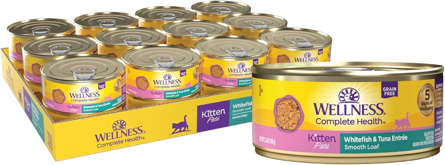 Wellness Complete Health Pate Kitten Canned Wet Cat Food, Natural, Protein Rich,