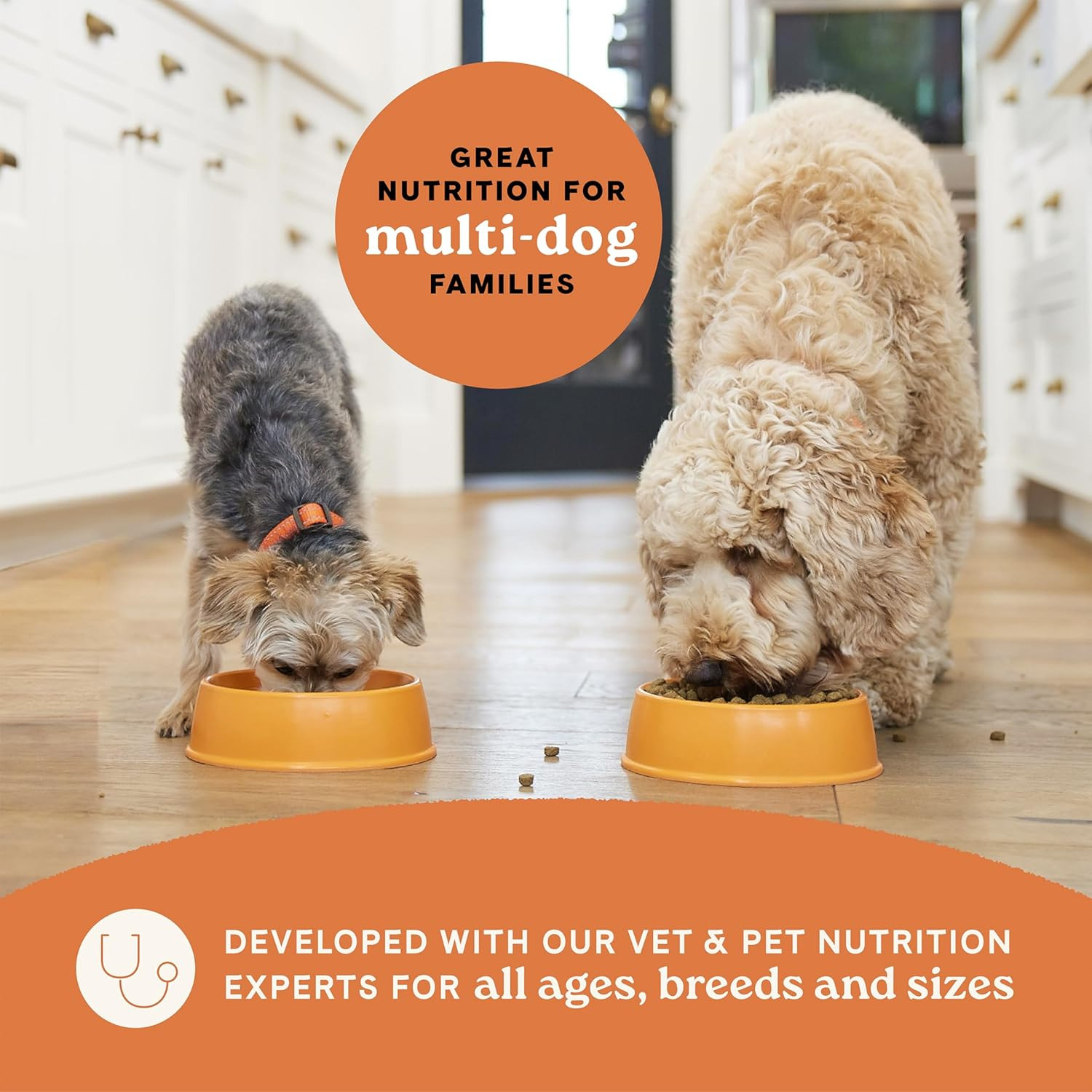 All Life Stages Multi-Protein Recipe with Chicken, Turkey, Lamb, and Fish – High