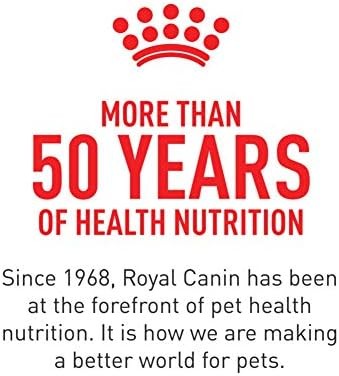 Royal Canin Feline Breed Nutrition Maine Coon Adult Thin Slices in Gravy Cat Foo