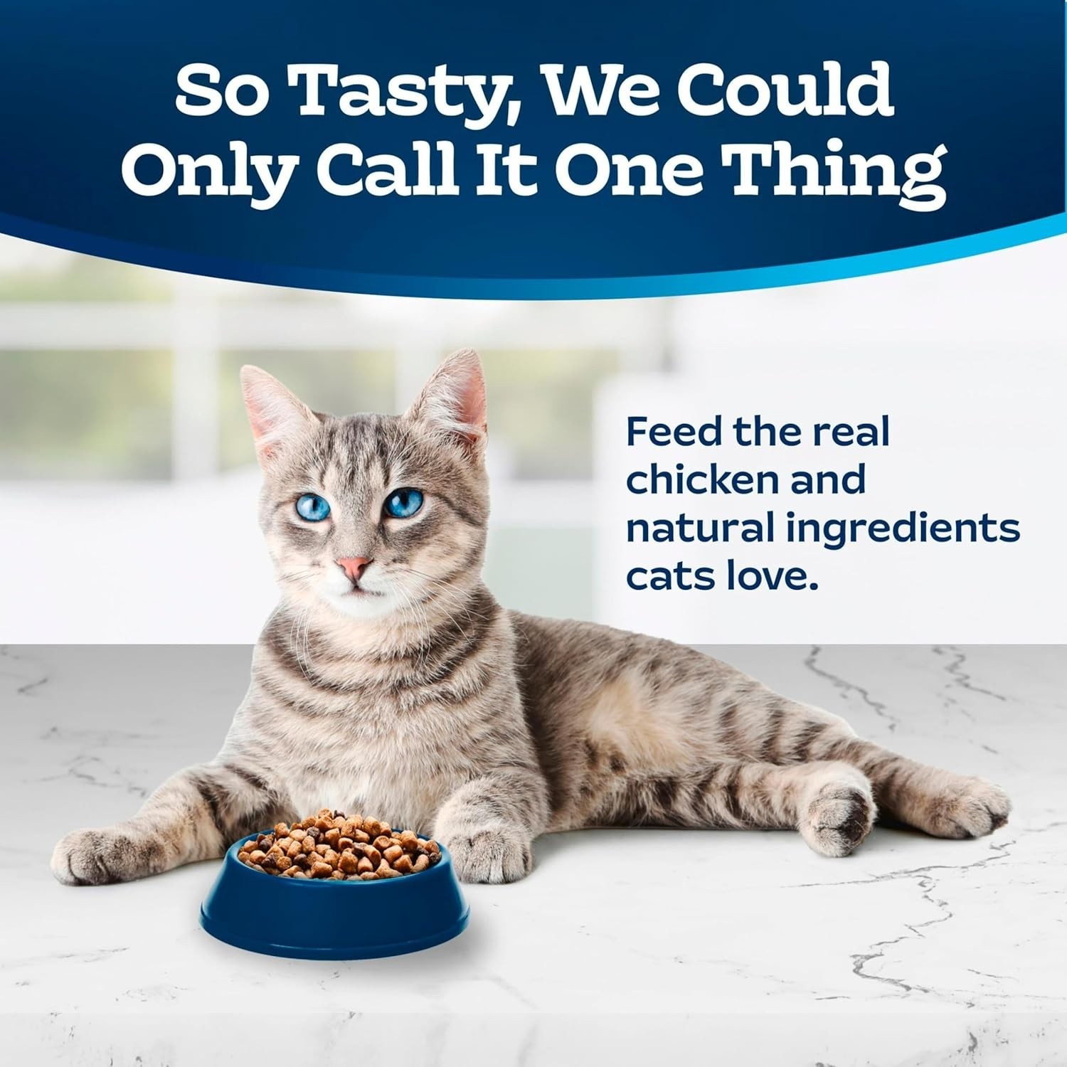 Tastefuls Natural Dry Food Adult Indoor Cats Chicken & Brown Rice Recipe 15-lb.