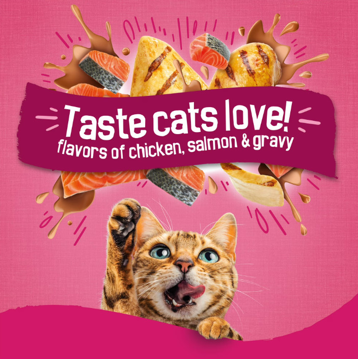 (2 pack) Purina Friskies Gravy Swirlers Dry Cat Food Flavors of Chicken, Salmon