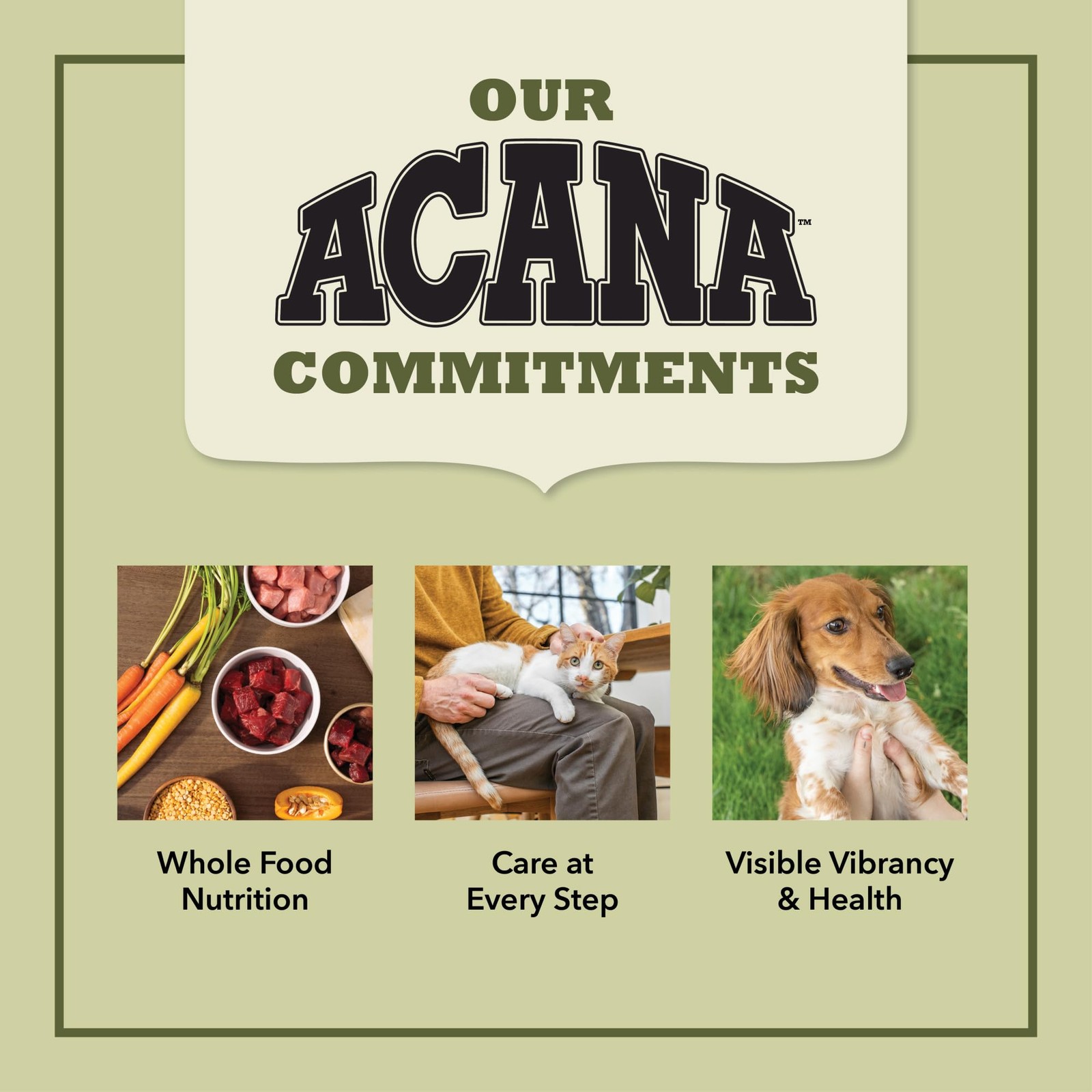 ACANA Grain-free Dry Cat Food, Wild Atlantic, Saltwater 10 Pound (Pack of 1)
