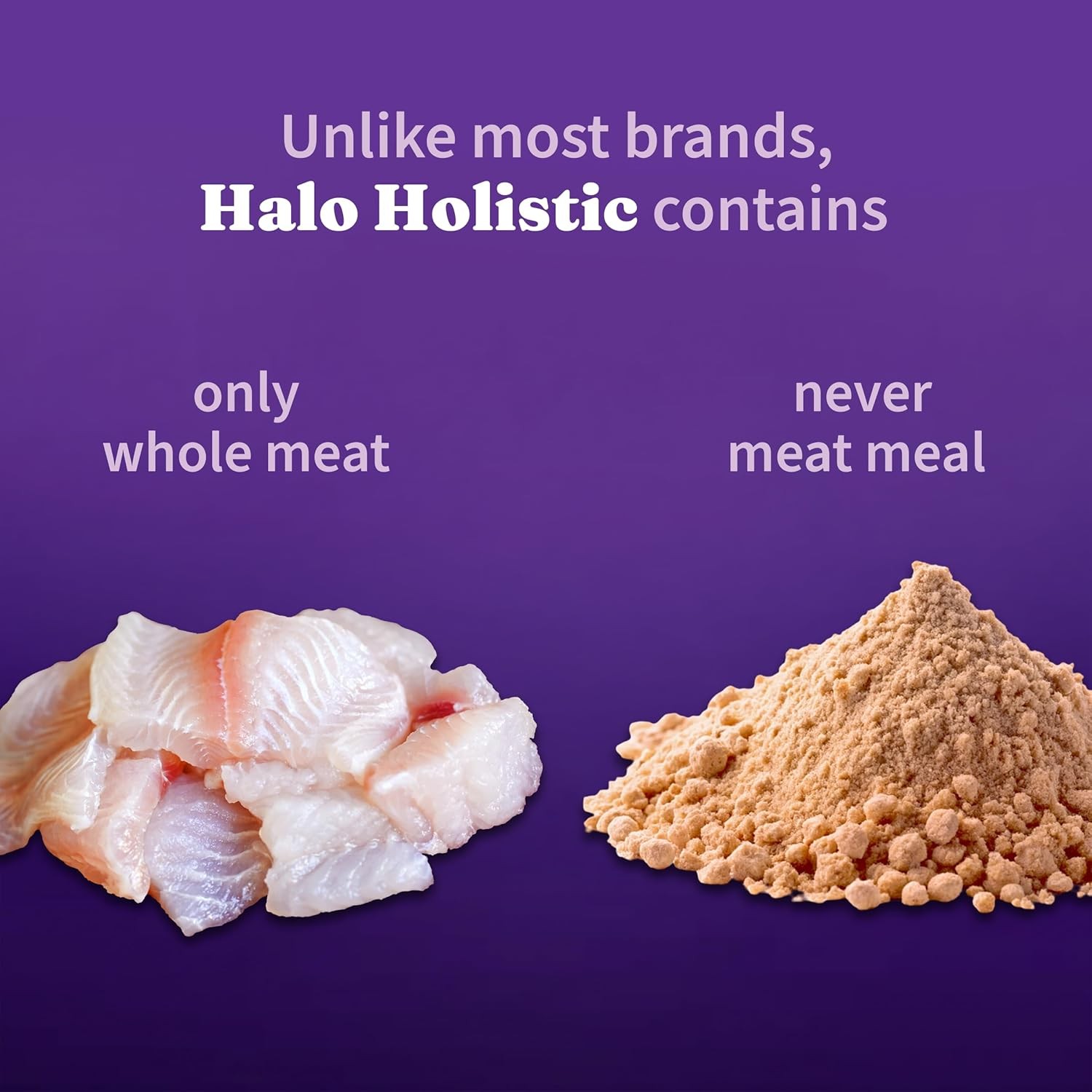 Holistic Cat Food Wild Caught Whitefish Formula Healthy Grains Dry Cat Food
