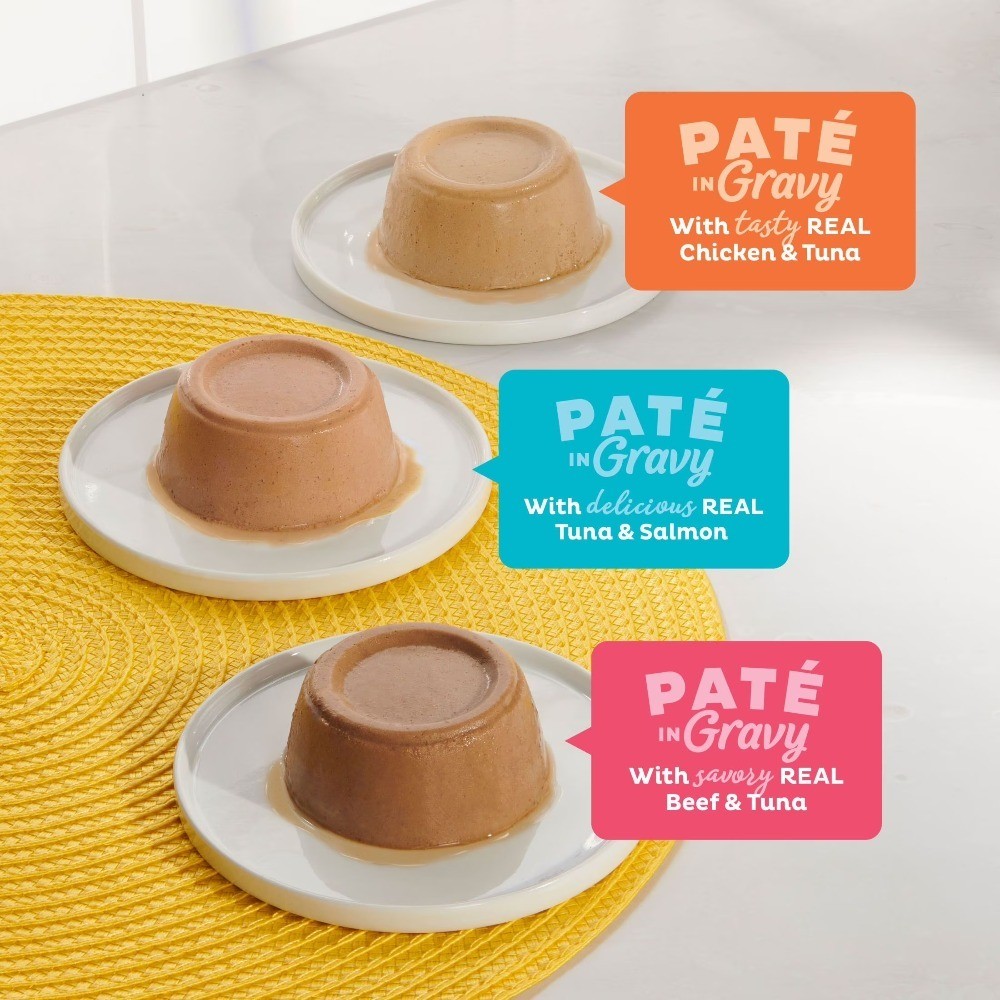 Wet Cat Food Surf n Turf Pate Variety Pack Gravy Seafood Beef Chicken 2.75 oz