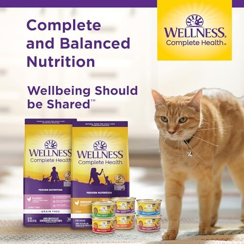 Wellness Grain Free Wet Cat Food Turkey Salmon Canned 24 Pack 5.5 Ounce