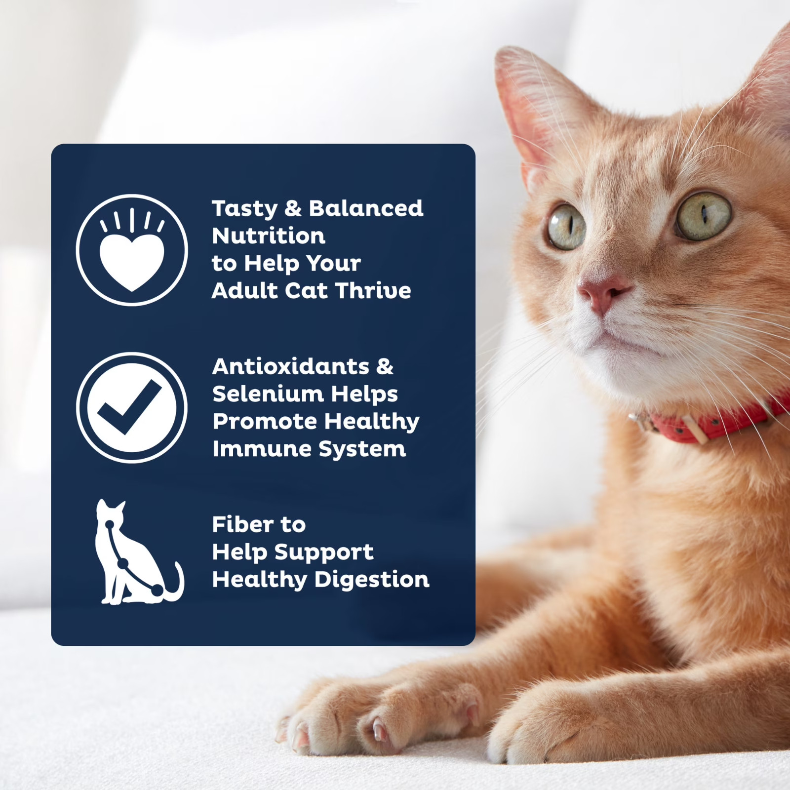 3 Pack 9Lives PLUS Urinary Tract Health Dry Cat Food, 15.5 lb. Bag