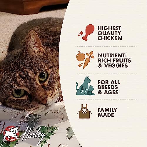 Fromm Four Star Dry Cat Food 4lb High Quality Chicken for All Breeds Ages