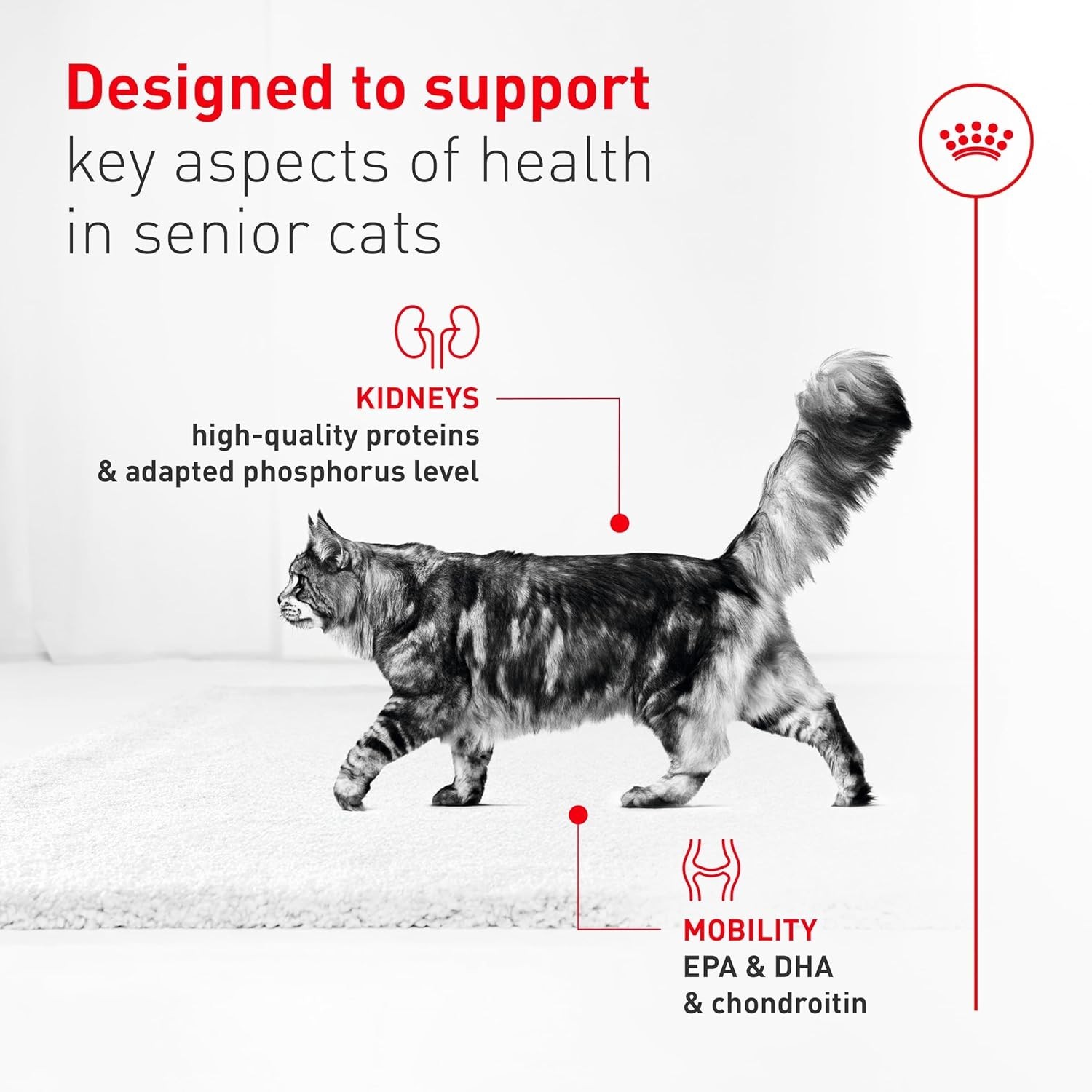Feline Health Nutrition Aging 11+ Dry Cat Food for Seniors, Kibble Rich in En…