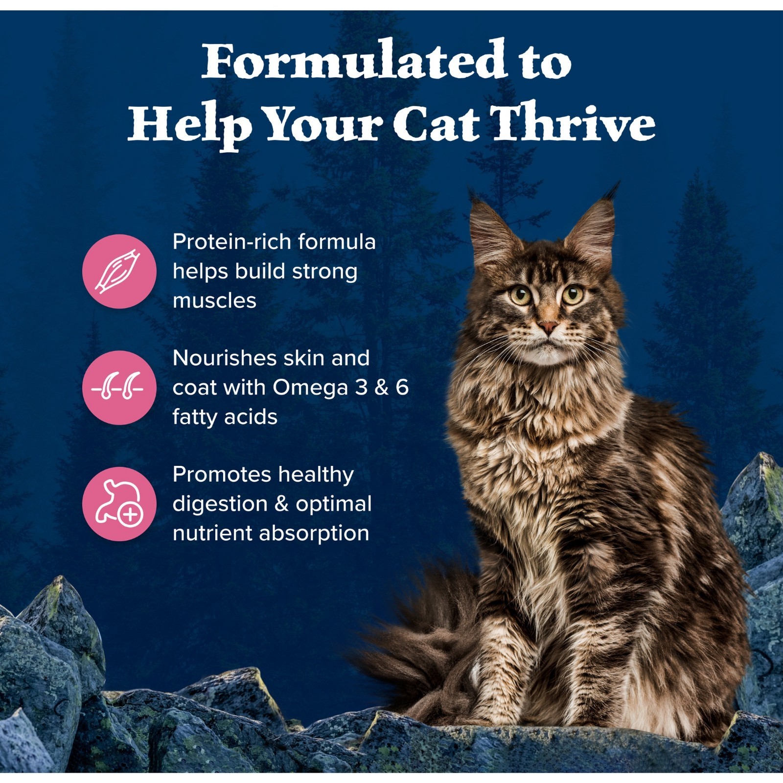 Blue Buffalo Wilderness Salmon Grain Free Adult Dry Cat Food 11 lb Bag…(wa)