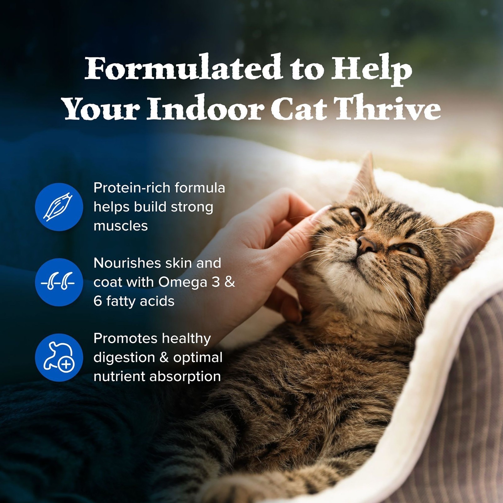 Blue Buffalo Wilderness Indoor Adult Dry Cat Food – Grain Free, Chicken 15 Lb